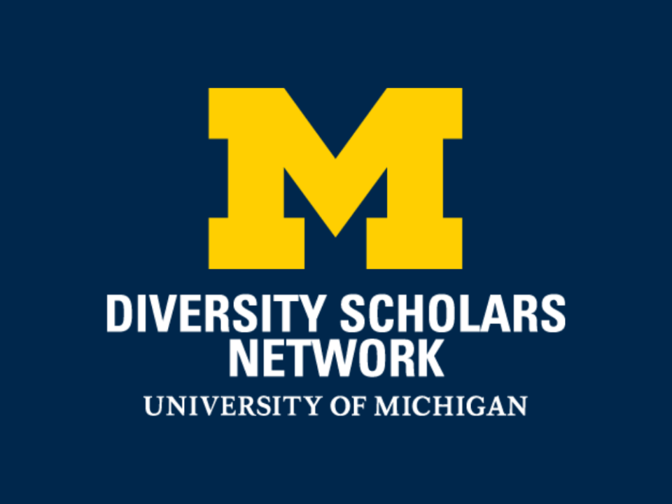 Logo for the Diversity Scholars Network